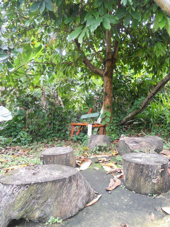 Drapers San Guest House Port Antonio Bagian luar foto